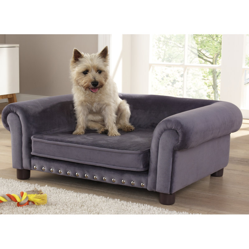 Archie & Oscar Astra Dog Sofa & Reviews Wayfair.co.uk